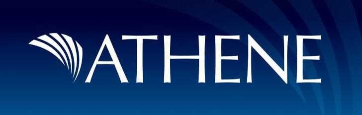 athene athene